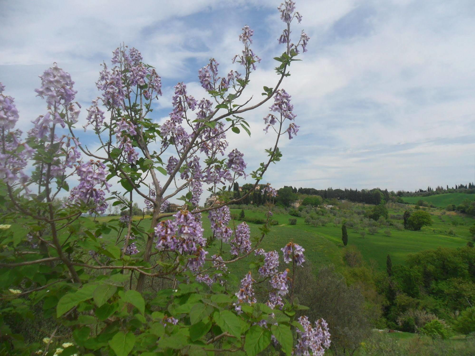 Fullino Nero Rta - Residenza Turistico Alberghiera Siena Eksteriør bilde